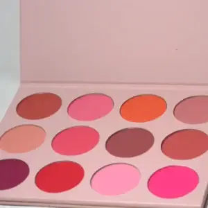 Palette Blush Pro Vibrant